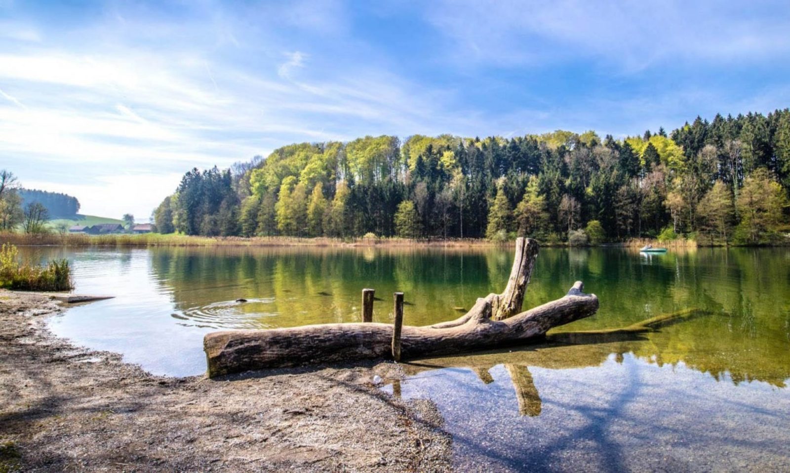 Lake clean-up at the Türlersee