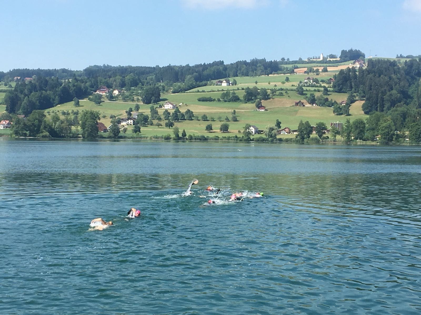Chrüz und Quer - das war der Triamt-OL am Baldeggersee